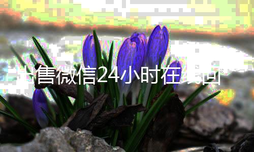 出售微信24小时在线回收(出售微信24小时在线回收泰达科技)