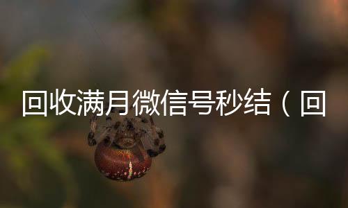 回收满月微信号秒结（回收三个月以上微信号秒结账）