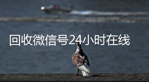 回收微信号24小时在线秒结(高价回收微信号24小时回收)