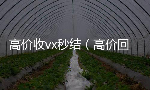 高价收vx秒结(高价回收微信秒结平台)